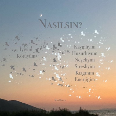 NASILSIN/ NASIL GİDİYOR?